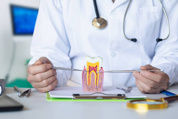 Best Emergency Dental Care for Trauma or Injury in Forsgate, NJ